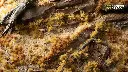 dry_starter_box_diorama_1600x900.webp